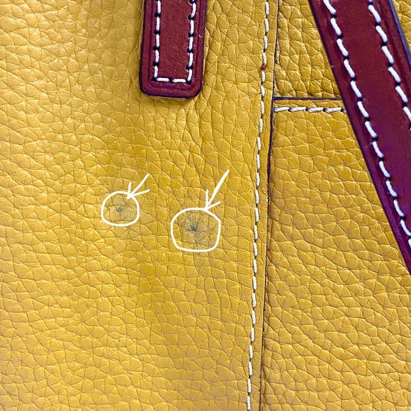 dooney and bourke mustard